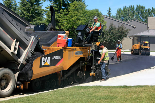 Best Driveway Paver Repairs and Restoration in Elm Grove, WI